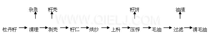 牡丹籽油設備 牡丹籽油榨油精煉生產線(圖7)