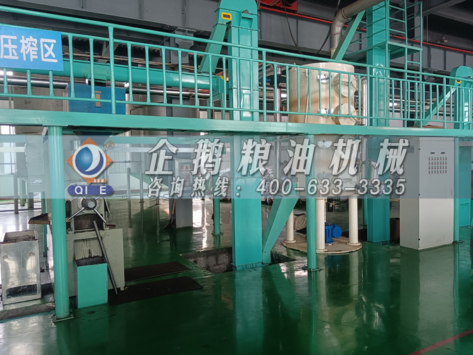 企鵝牌茶籽油雙螺桿榨油機，用心制造獲得客戶認可(圖3)