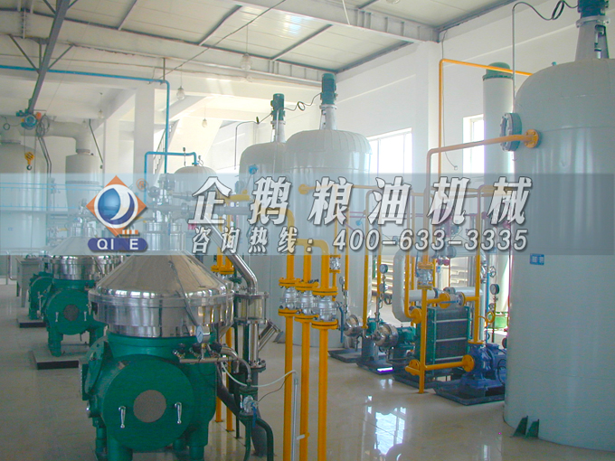 如何投資建設棕櫚油加工廠？企鵝糧油機械在線為您答疑解惑(圖2)